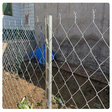 ����\䓽z�����W  ����䓽z�Bֳ�W  ����\䓽z�Bֳ�W���ھW