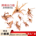 鱼缸景观沉木假山栖根造景全套盆景莫斯树黑壳虾斑马鱼