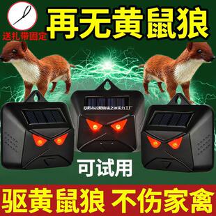 �S���Ǒ����B�u��ș��s�����S���Bֳ���������Bֳ��������u