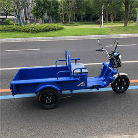 电动三轮车摆摊车家用成人代步车新款拉货运电瓶三轮车载重平板车