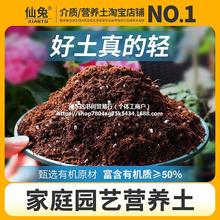 营养土养花专用通用型多肉花土种花种菜家用有机土壤种植花泥进铭