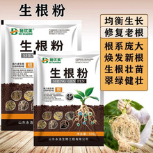 �����������������焩ˮ�ܷ�ħ��������_ʩ�����߲�ˮ�����M����