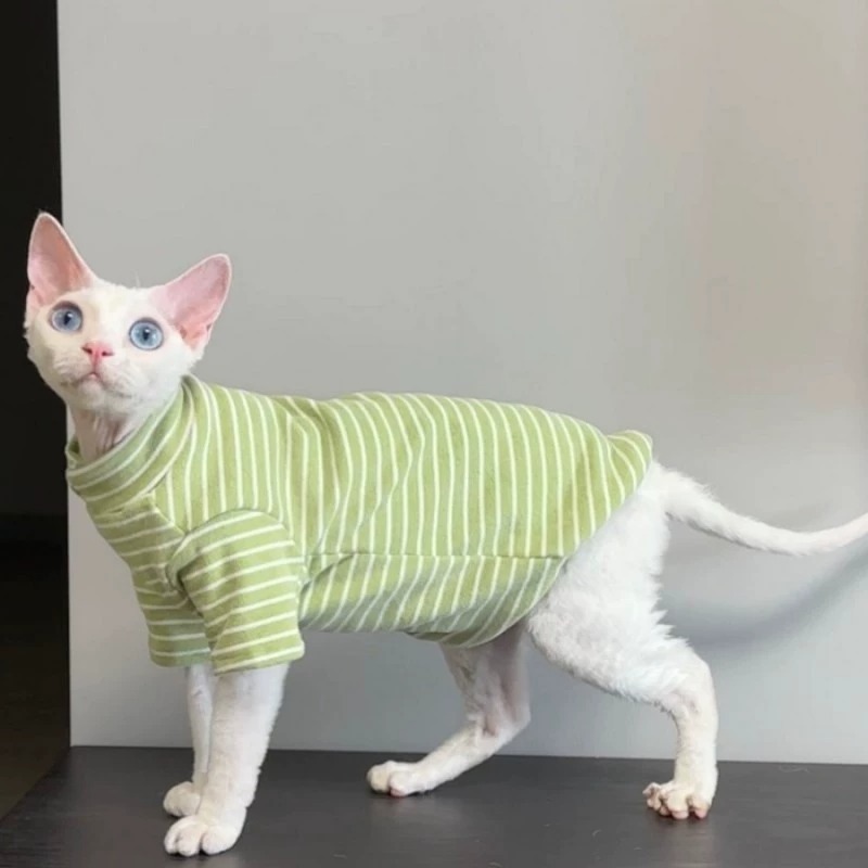 夏季新款宠物衣服斯芬克斯猫阿比无毛猫德文衣服打底宠物短袖衣服|undefined