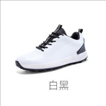 흰색 검정색