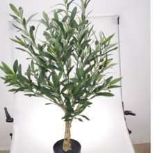 �����ϙ�����ԁ��R�d�xƷ��Ʒ�羳��̷���Gֲ�[��