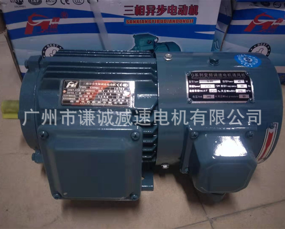 大速/江晟/南方变频电机Y2VF/YVF2-100L2-4三相立式卧式调速专用