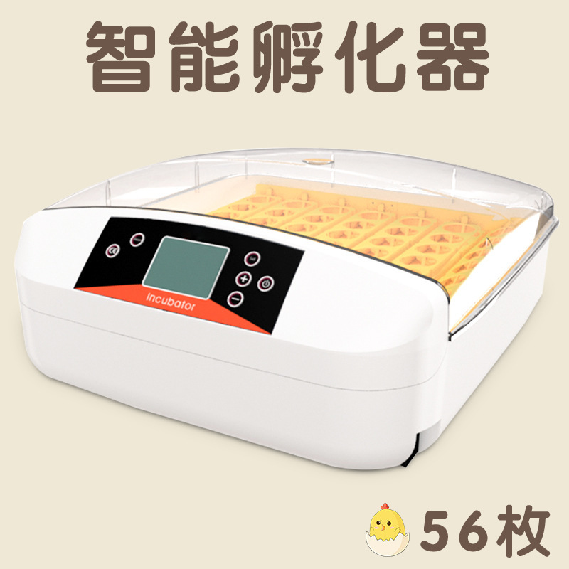 新型国境を越えたアマゾン全自動小型知能電気家庭用鶏鴨ガチョウ恒温孵化器孵化器|undefined