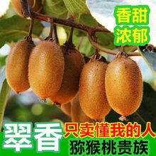 【翠香】陕西绿心猕猴桃当季新鲜水果整箱孕妇非江山奇异果2/10斤