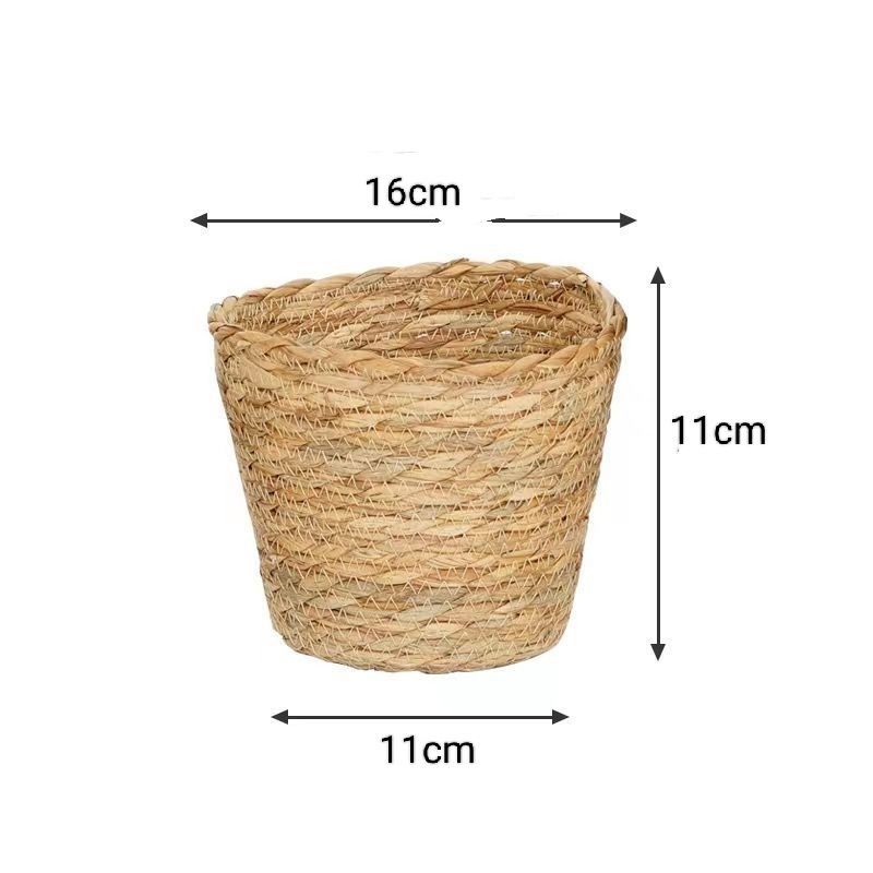 부들꽃바구니 트럼펫