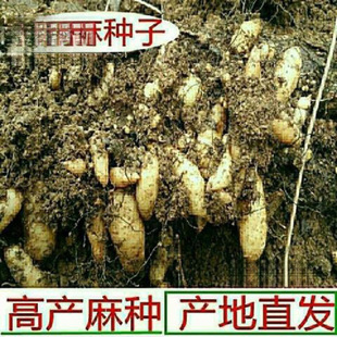 ����F�ڴ��N�NֲҰ������N�Ӹ߮a�҃�������N�������r��