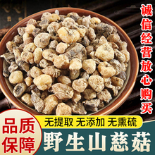 野生山慈菇中药材毛慈菇山茨菇干冰球子云南无硫新鲜5g包