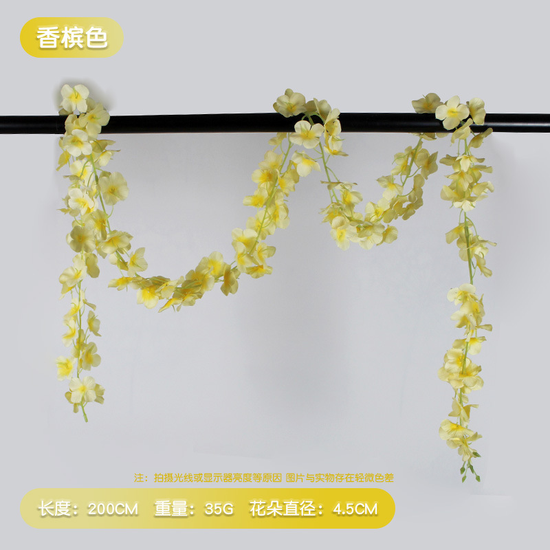 샴페인 수국 끈 [1]]