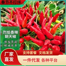 һl콷Nָ콷СNļ߲˷Nħ