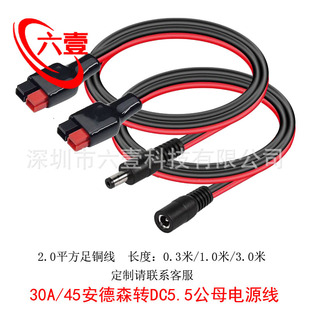 30a/45A����ɭ�DDC5.5*2.1/2.5mm��ĸ�^2ƽ�������B�����Դ��