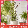 跨境花园金属线条花盆