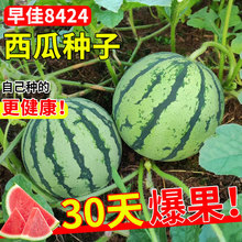 8424oϷNѴȫNˮϹСϷ߲N