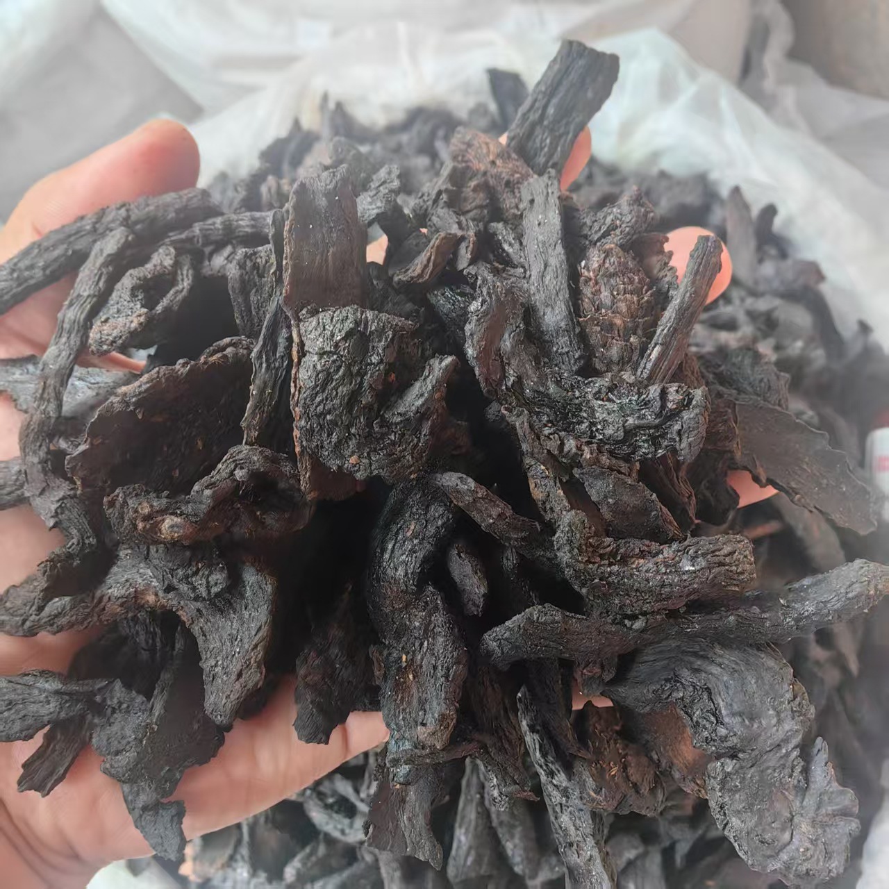 Cistanche Deserticola Rou Cong Rong Dried Herb 500g for Tonic Wine and Decoctions Xinjiang Origin quality and texture