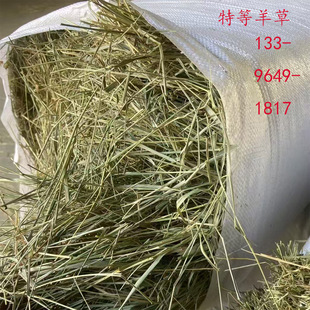 ţ�����2025������� �ص�����|���ɫ�G�|���ʸ�