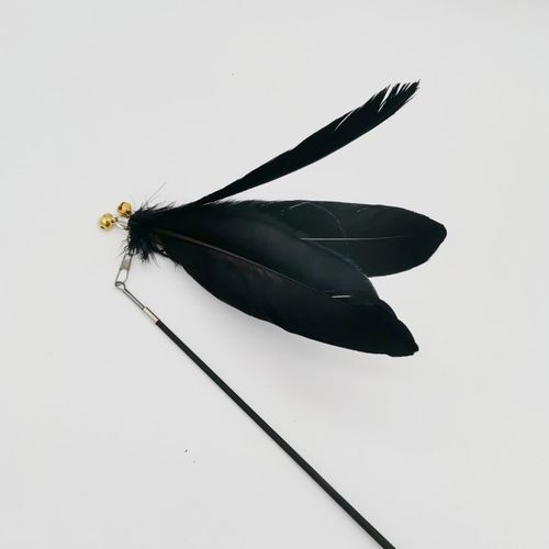 Manufacturer wholesale cat teasing stick, wooden handle, retractable, bite-resistant, cat new favorite, self-pleasure toy, cat supplies