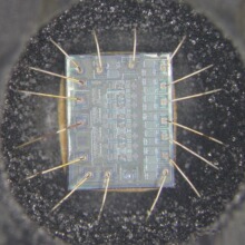 ͜ع̻hyz̾ledоƬճ͸ߜص迹yz