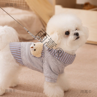 �¿���·��ﶬ��С�����·��r�������l�����챡��q��؈����