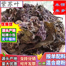 批发紫苏叶500g香料散装干货紫苏叶药食材苏子枝杆叶苏子非中药材