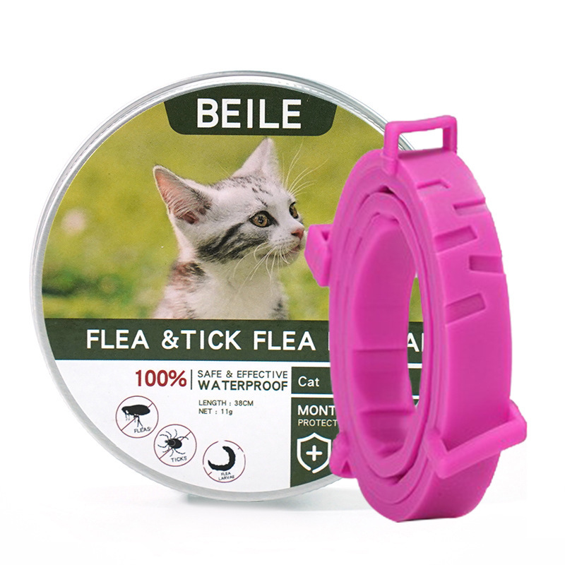 새로운 녹색 고양이 스타일의 핑크색 칼라