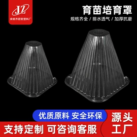 塑料盒;吸塑加工;种植包装