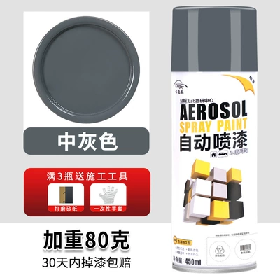 household various colors bright black Avtomobil boyası - 22-medium-gray-450ml