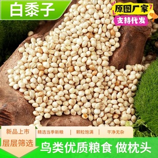 �����Ӱ������W�^�Z��Ƥ���Pĵ���������S���B�Z��ͯ���^�̯��|