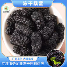 冻干桑葚干新疆黑桑葚精选250g精品泡茶水新果子大果泡酒药膳商用