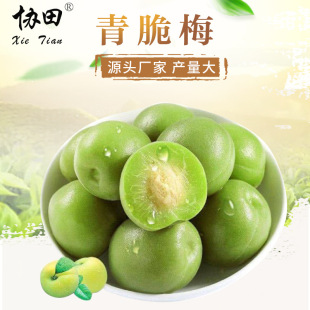 �S�����l ���÷ ����ˬ����÷���� ��ʳˮ���� ���e��ʳ����÷��