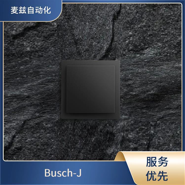 速度调速器 2CDG240008R0011 Busch-Jaeger 建筑控制 39563-13