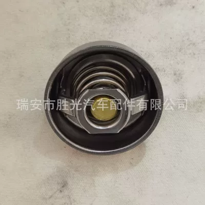 Thermostat 1306010-02 Thermostat Suitable