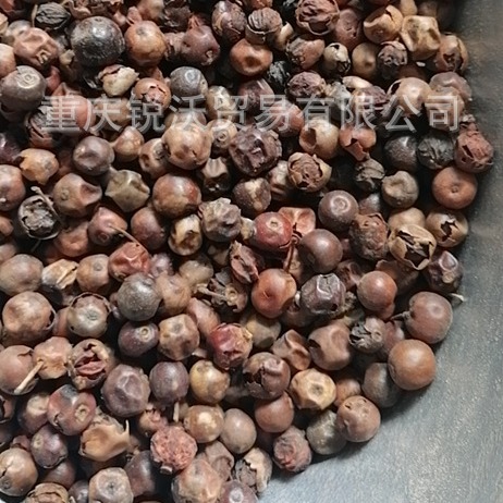 1公斤烘干散装批发枸骨子羊角刺籽老鼠刺子猫儿刺八角刺干果实