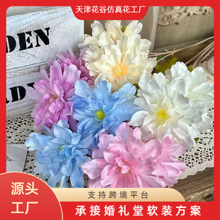 ���^ܽ��ĵ����c��Y�þƵ껨���b�·���ٻ����lĪ�λ��@���滨