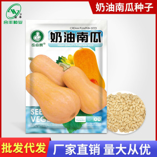 �����ϹϷN�Ӵ�����͢�ϹϷN�ѳ�����J�SƤ�Ϲ����߲��яS�����l