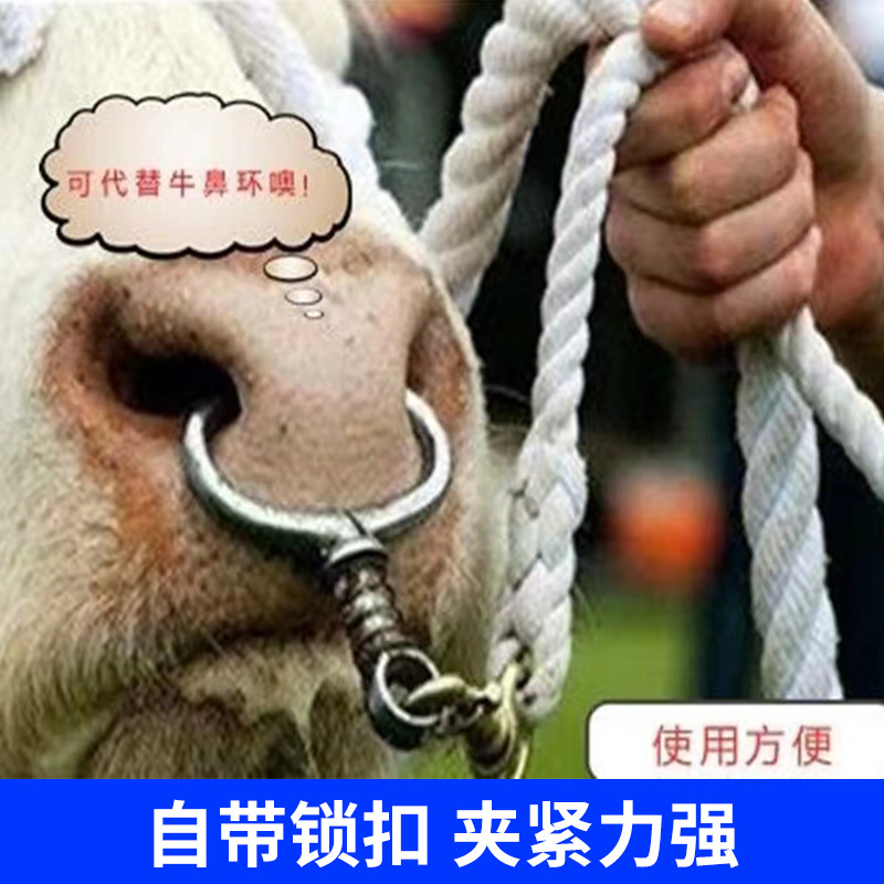 Pinzas de nariz de buey pequeño resorte grande resorte con cadena de mango largo de metal pinza de nariz de buey perforación pinza de nariz de buey sin agujeros
