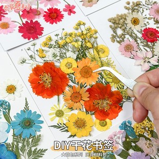 Graduation Season Dried Flower Embossed Material Package Handmade DIY Material Plant Specimen Glue Photo Embossed Real Flower Bookmark
