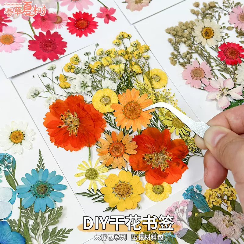 毕业季干花压花材料包手工diy材料植物标本滴胶写真押花真花书签