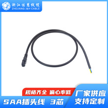 JH20+JHS001 C13 10A 250V�Ę�SAA�J�C���~Ʒ��β�B�����Դ��