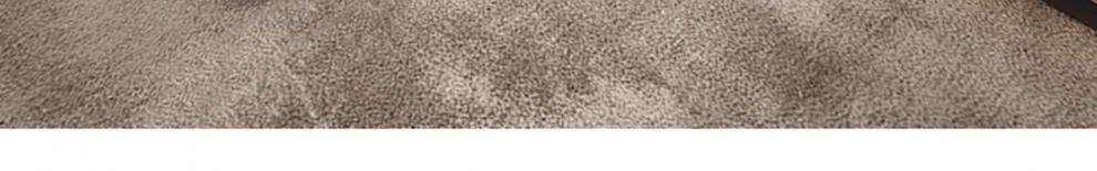 88bca94b-3e1f-4588-b588-7e264cc45ea4.jpe