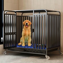 狗笼子大型犬家用狗窝狗笼中型犬带厕所猫咪别墅狗别墅室内铁笼子