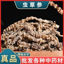 中药材地参 虫草参干货 冷背奇地虫草泽兰根地龙菜亳州中药材代发