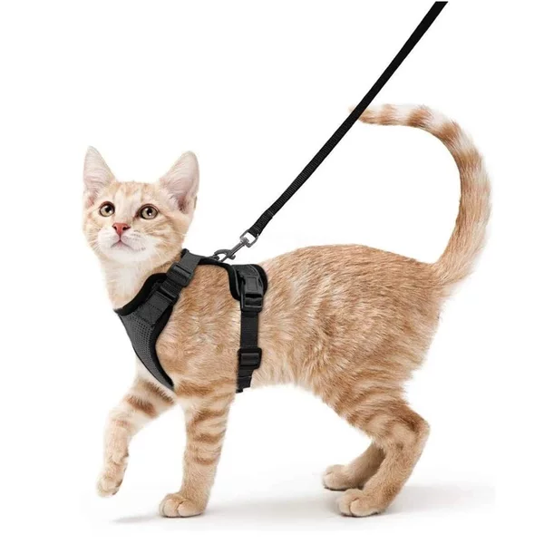 Amazon Pet Harness Cat Reflective Anti-Escape Leash Breathable I-Shaped Cat Walking Rope Pet Supplies
