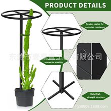 羳֧FˇMbܑ̨@ˇ֧ܘ֧μ