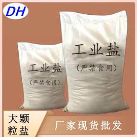 批发工业盐大颗粒盐 日晒原盐大颗粒支持定制 厂家工业用大颗粒盐