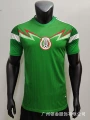 2014 Mexico Home Stadium