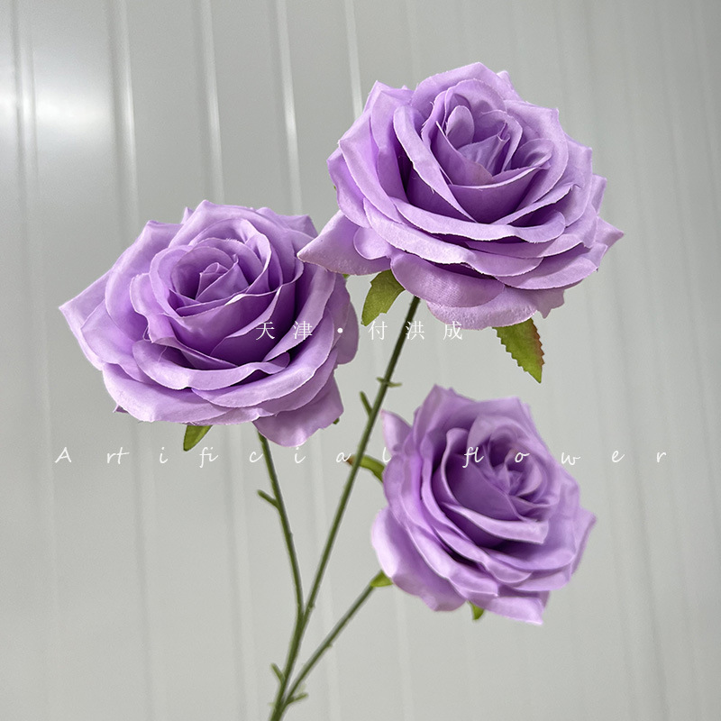 다이아몬드 로즈 - 밝은 보라색