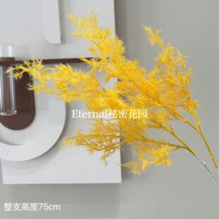 ?��녟������R����������횲ݻ�diy���ϔzӰ���Fڡ����